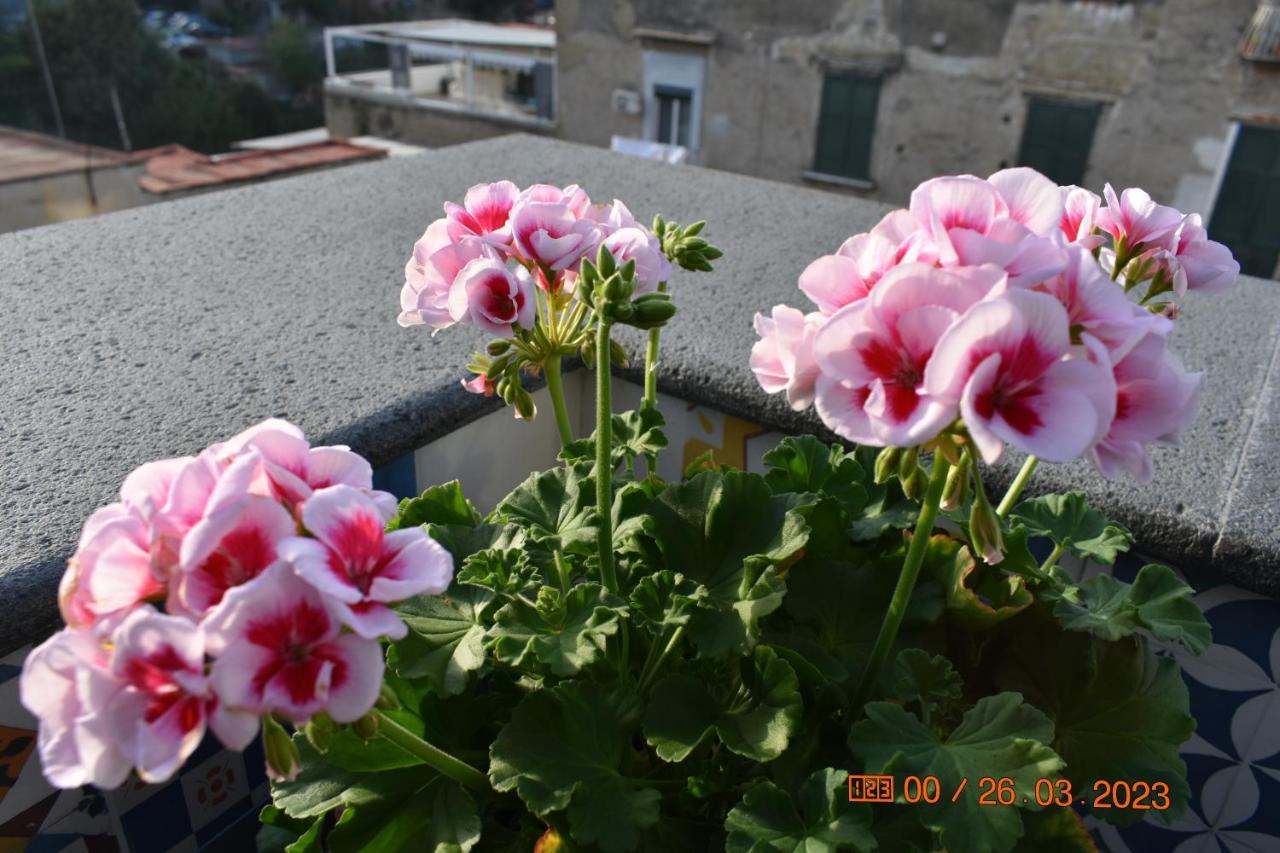 Casa Materdei Suite Napoli Bagian luar foto